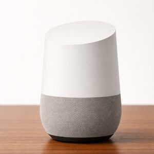 Google Home Smart Speaker White Gray Voice Assistant WiFi Bluetooth Home Audio